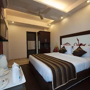 Hotel Pitrashish Grand And Premium ***
